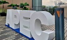 【實習】亞太經濟合作政策支援小組實習